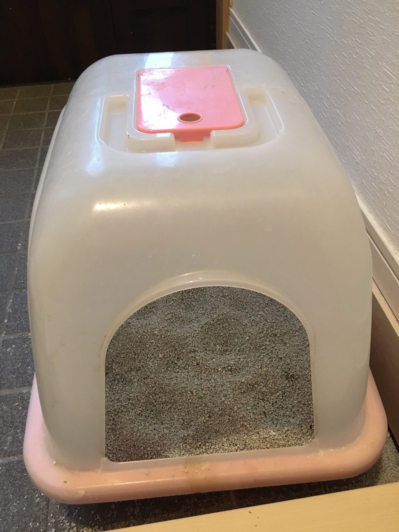 猫のトイレ：固まる砂