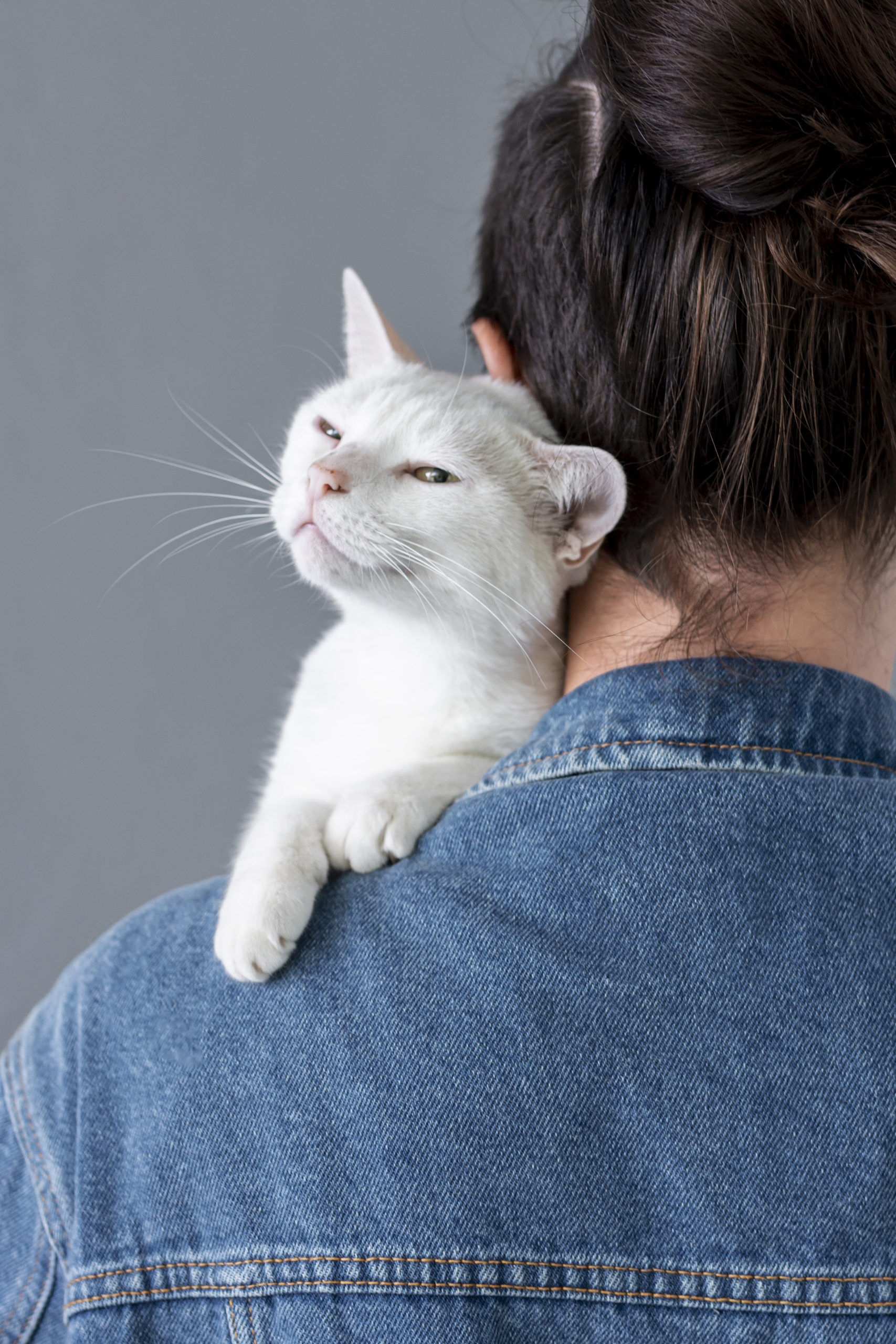 なぜ猫はしっぽの付け根を触ると喜ぶの？